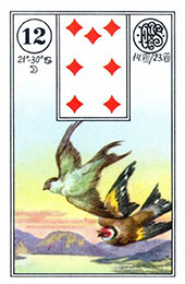 Pasarile in Lenormand