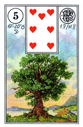 Copacul in Lenormand
